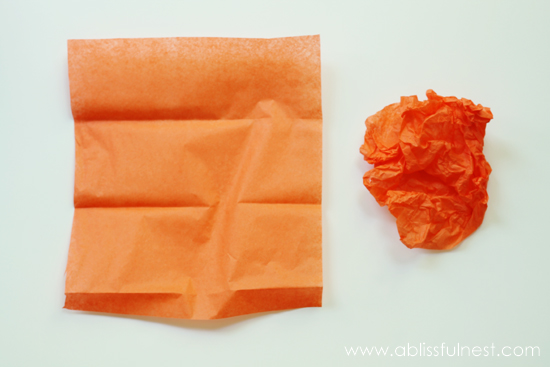 Tissue Paper Flower Tutorial by A Blissful Nest 